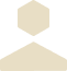 Icono de Seguridad Integral